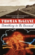 Cover: Something to Be Desired - Vintage