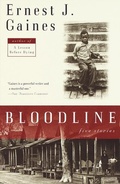 Cover: Bloodline - Vintage