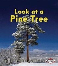 Enlarge image Cover: Look at a Pine Tree - Lerner Publishing Group