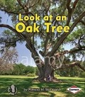 Cover: Look at an Oak Tree - Lerner Publishing Group