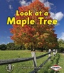 Cover: Look at a Maple Tree - Lerner Publishing Group
