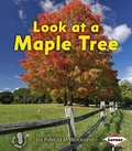 Cover: Look at a Maple Tree - Lerner Publishing Group