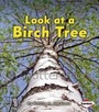 Cover: Look at a Birch Tree - Lerner Publishing Group