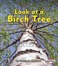 Cover: Look at a Birch Tree - Lerner Publishing Group