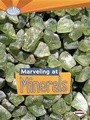 Cover: Marveling at Minerals - LernerClassroom