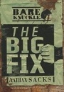Cover: The Big Fix - Lerner Publishing Group