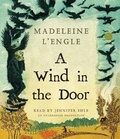 Cover: A Wind in the Door - Listening Library