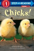 Cover: Chicks! - Random House Books for Young Readers
