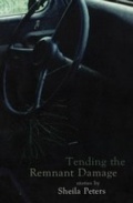Cover: Tending the Remnant Damage - Dundurn
