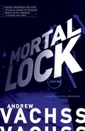 Cover: Mortal Lock - Vintage Crime/Black Lizard