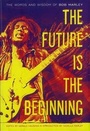 Cover: The Future Is The Beginning - Harmony Crown
