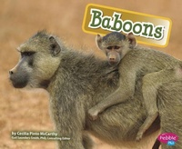 Enlarge image Cover: Baboons - Capstone Press