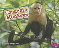 Cover: Capuchin Monkeys - Capstone Press