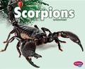 Cover: Scorpions - Capstone Press