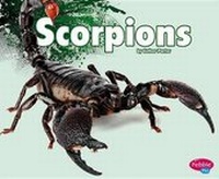 Enlarge image Cover: Scorpions - Capstone Press