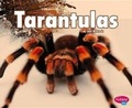Cover: Tarantulas - Capstone Press