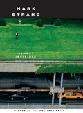 Cover: Almost Invisible - Knopf