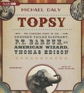 Cover: Topsy - Blackstone Publishing