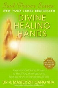 Abbildung von: Divine Healing Hands - Atria Books