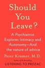 Cover: Should You Leave? - Scribner