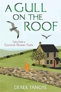 Cover: A Gull on the Roof - Constable