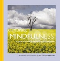 Abbildung von: Capturing Mindfulness - Robinson