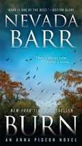 Cover: Burn (Anna Pigeon Mysteries, Book 16) - Headline Book Publishing