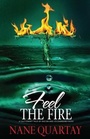 Cover: Feel the Fire - Strebor Books