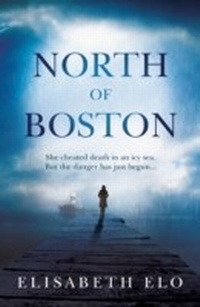 Abbildung von: North of Boston - Headline Book Publishing