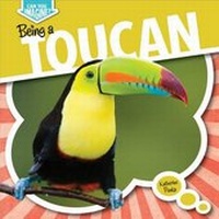 Enlarge image Cover: Being a Toucan - Gareth Stevens Publishing