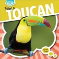 Cover: Being a Toucan - Gareth Stevens Publishing