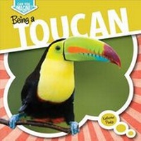 Enlarge image Cover: Being a Toucan - Gareth Stevens Publishing