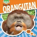 Cover: Being an Orangutan - Gareth Stevens Publishing