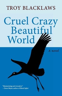 Abbildung von: Cruel Crazy Beautiful World - Open Road Media