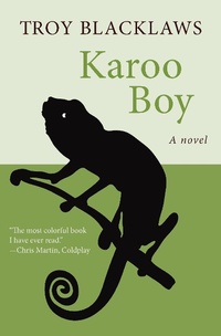 Abbildung von: Karoo Boy - Open Road Media