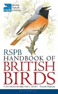 Cover: RSPB Handbook of British Birds - Bloomsbury Natural History