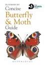 Cover: Concise Butterfly and Moth Guide - Bloomsbury Natural History