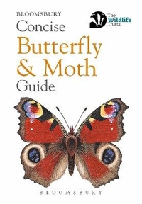 Enlarge image Cover: Concise Butterfly and Moth Guide - Bloomsbury Natural History
