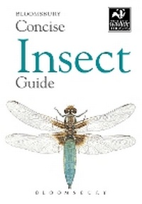 Bild vergrößern Bild: Concise Insect Guide - Bloomsbury Natural History