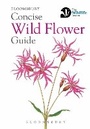 Cover: Concise Wild Flower Guide - Bloomsbury Natural History