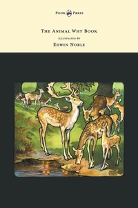 Enlarge image Cover: The Animal Why Book - Pictures by Edwin Noble - Read Books