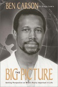 Cover: The Big Picture - Zondervan