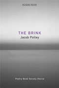 Cover: The Brink - Picador