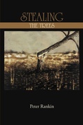 Cover: Stealing the Trees - iUniverse