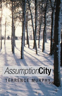 Enlarge image Cover: Assumption City - iUniverse