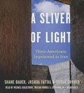 Cover: A Sliver of Light - Blackstone Audiobooks