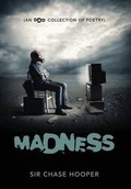 Cover: Madness - Outskirts Press