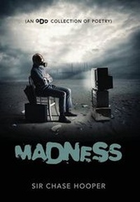 Enlarge image Cover: Madness - Outskirts Press