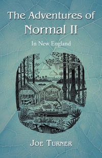 Enlarge image Cover: The Adventures of Normal II - WestBow Press
