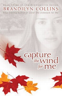 Enlarge image Cover: Capture the Wind for Me - Zondervan